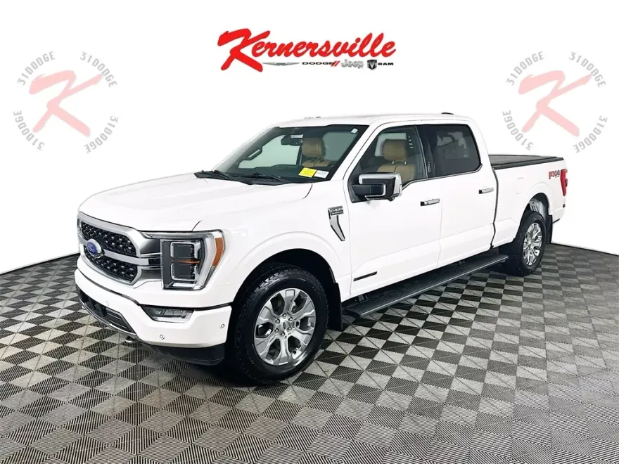 2022 Ford F-150 Platinum photo 1