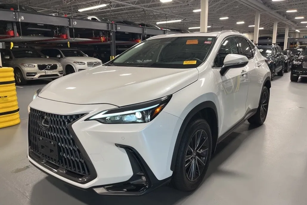 2024 Lexus NX 350 Premium photo 1