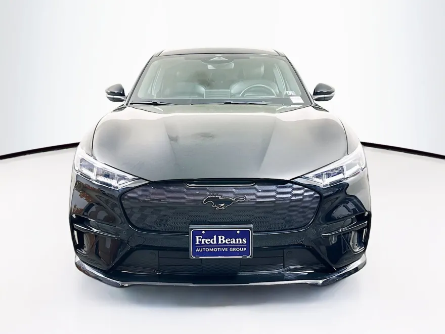 2021 Ford Mustang Mach-E GT photo 2