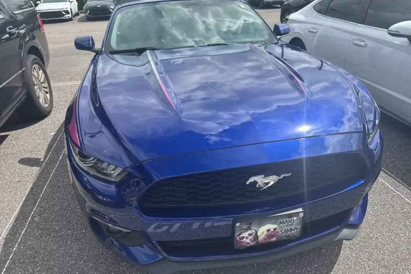 2016 Ford Mustang EcoBoost Premium Convertible photo 1
