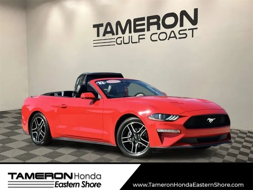 2023 Ford Mustang EcoBoost Premium photo 1