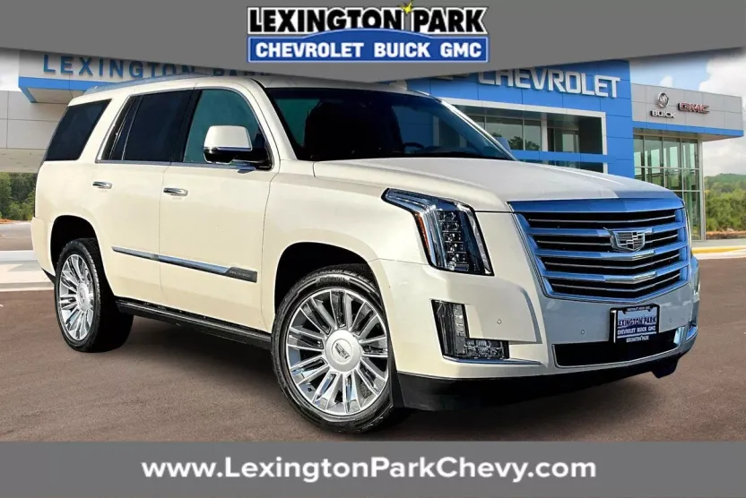 2015 Cadillac Escalade Platinum photo 1