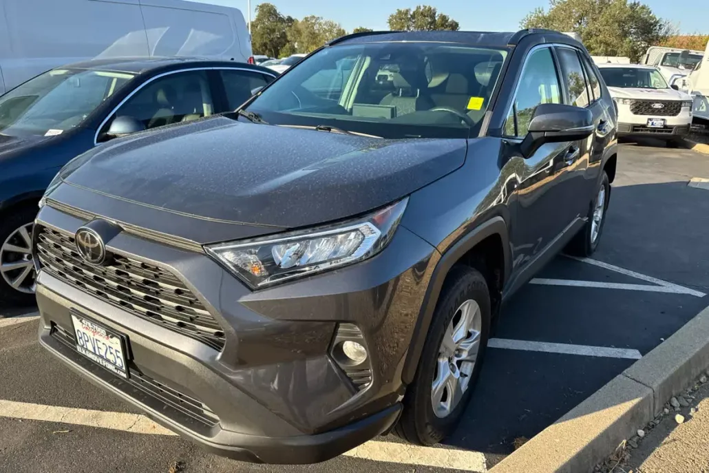 2019 Toyota RAV4 XLE photo 1