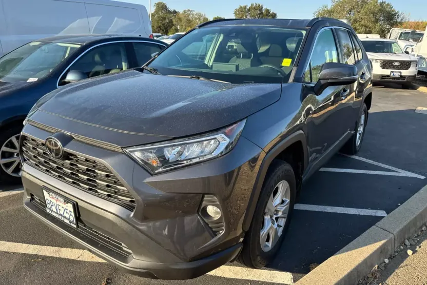 2019 Toyota RAV4 XLE photo 1