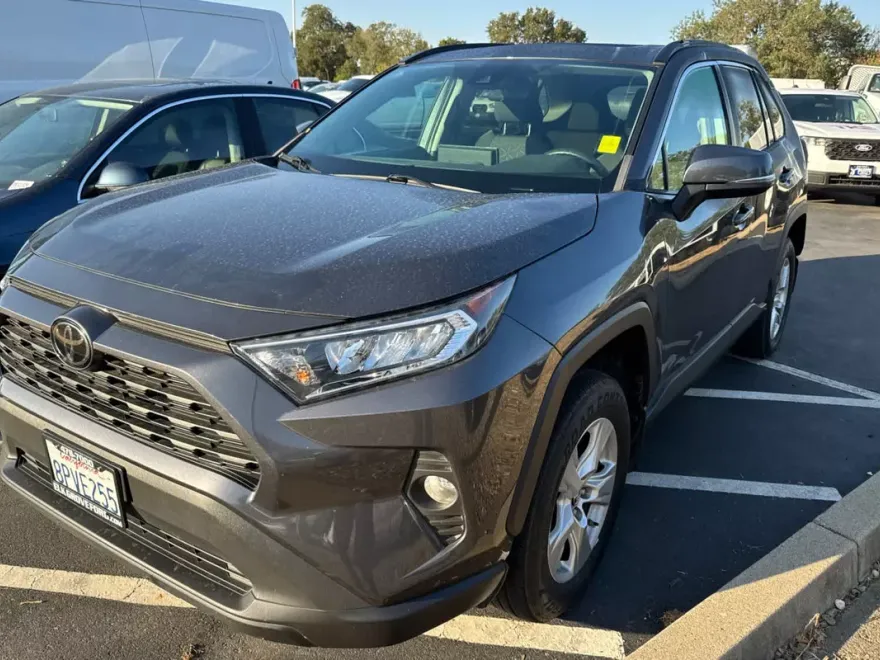 2019 Toyota RAV4 XLE photo 1