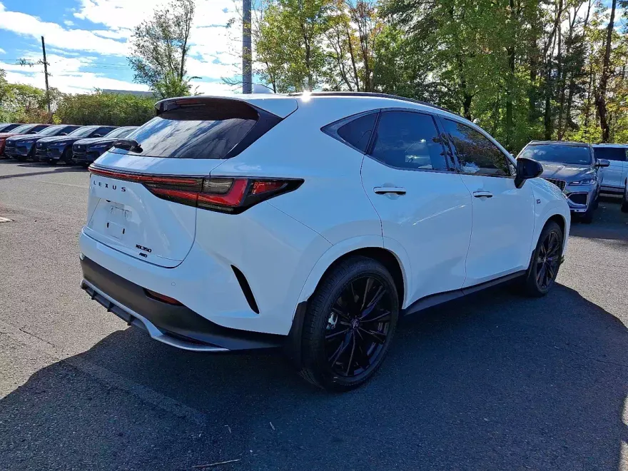 2025 Lexus NX 350 F SPORT Handling photo 1