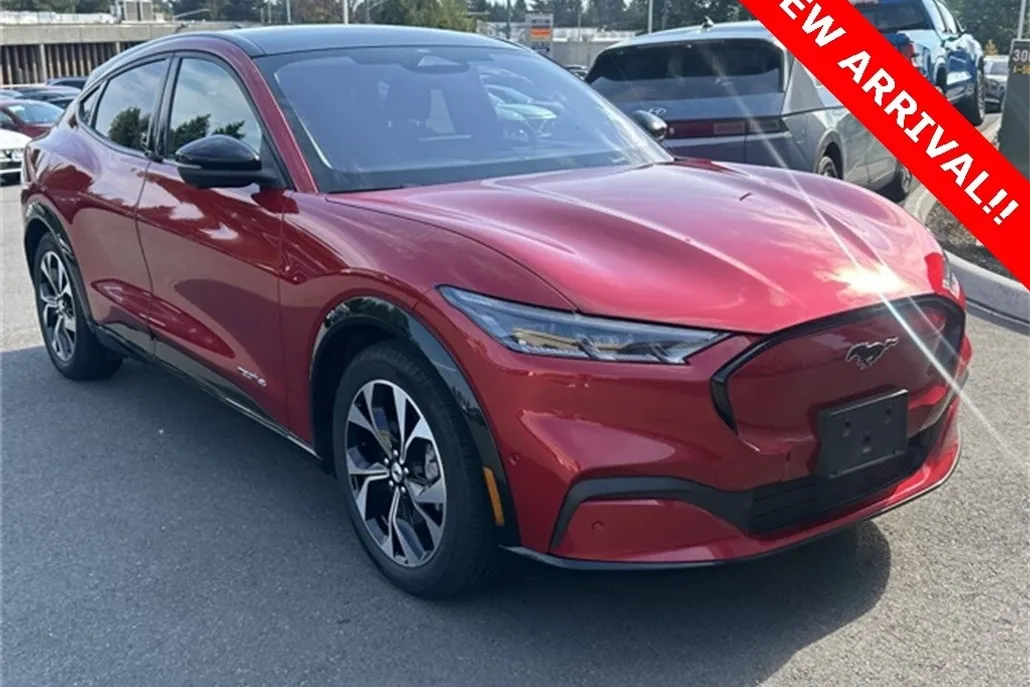 2021 Ford Mustang Mach-E Premium photo 1