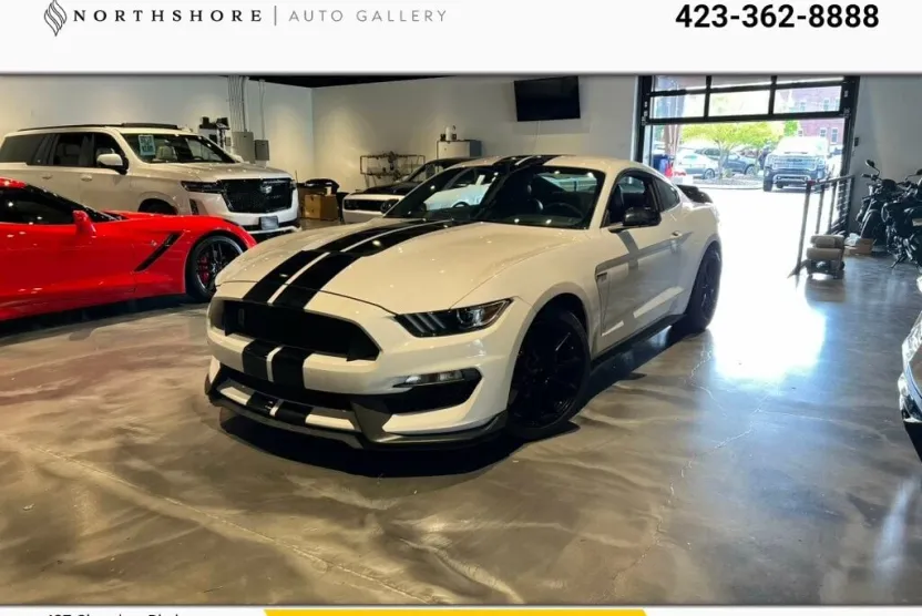 2019 Ford Mustang Shelby GT350 photo 1