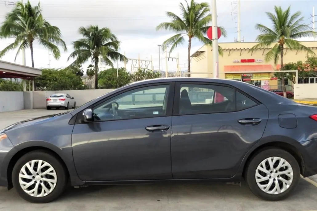 2019 Toyota Corolla LE photo 1