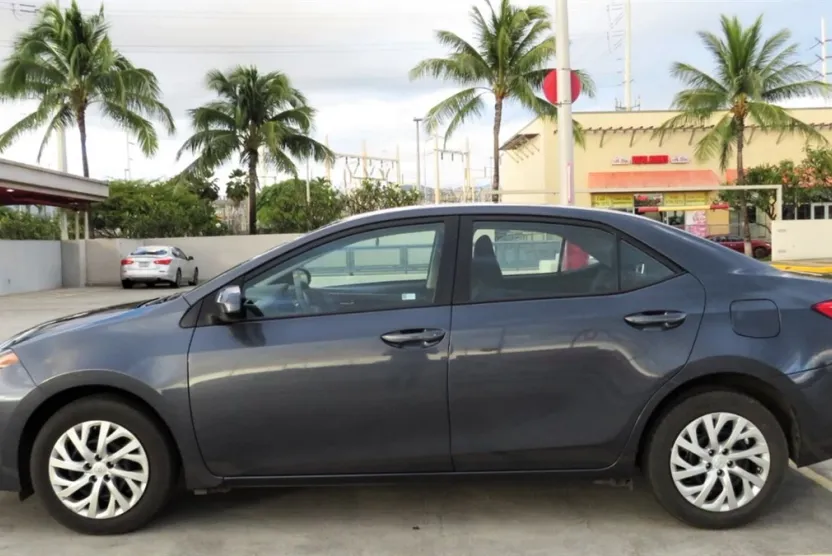 2019 Toyota Corolla LE photo 1