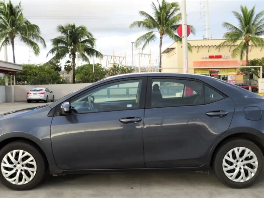 2019 Toyota Corolla LE photo 1