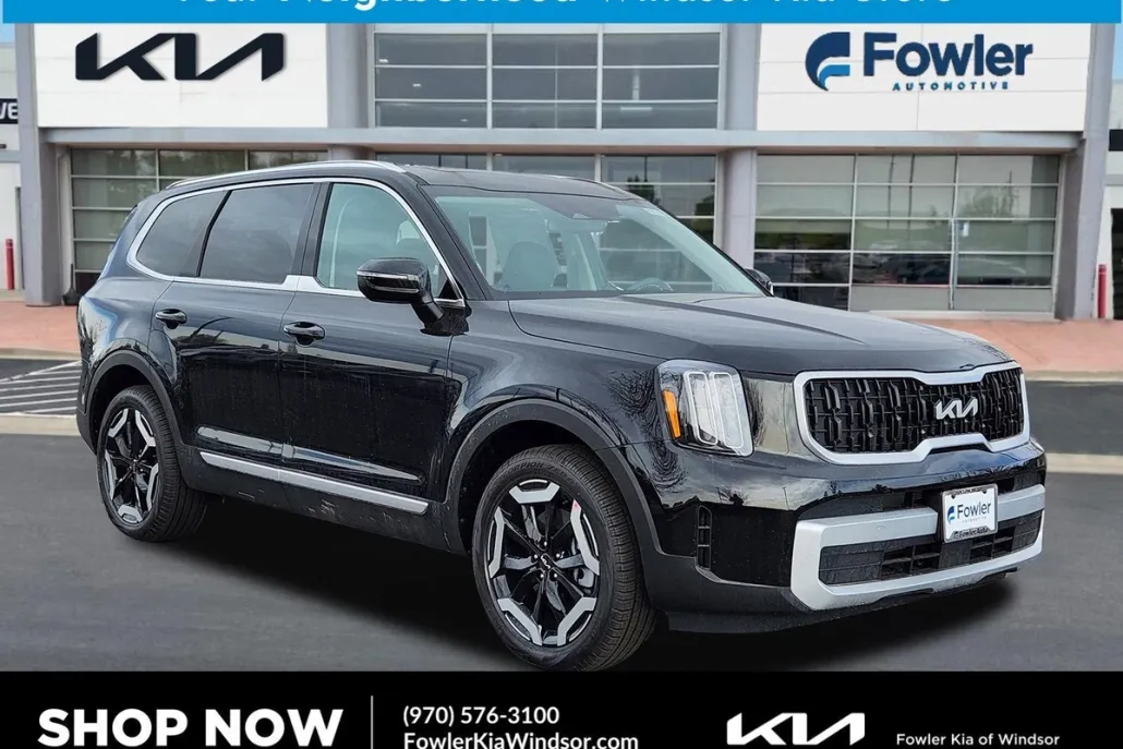 2025 Kia Telluride EX photo 1