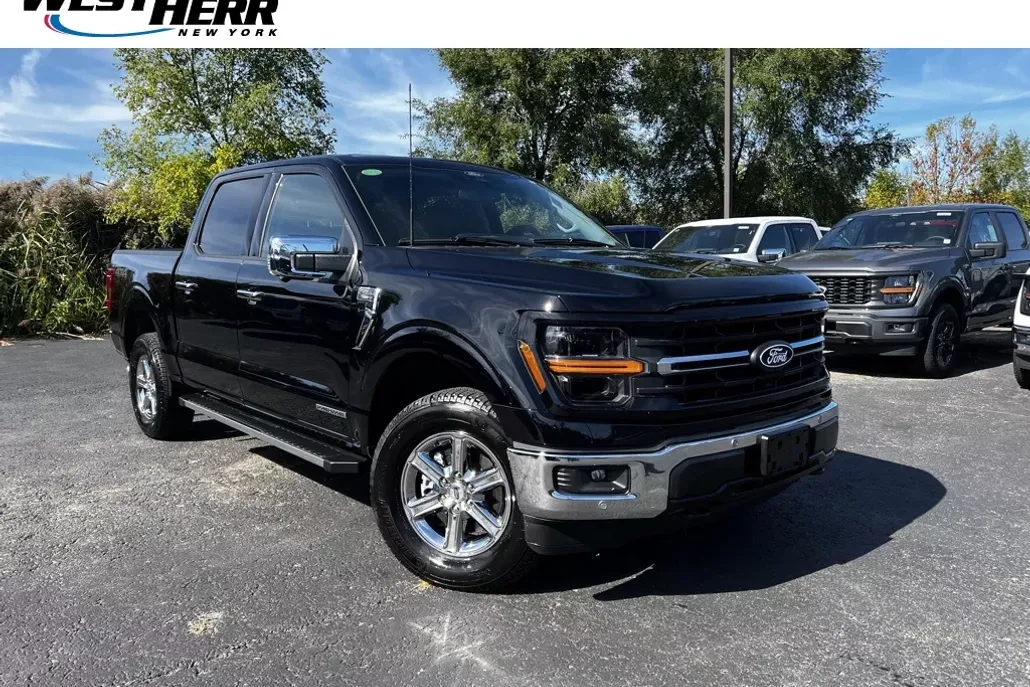 2025 Ford F-150 XLT photo 1