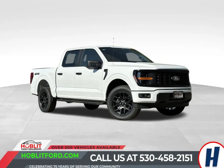 2025 Ford F-150 STX photo 1