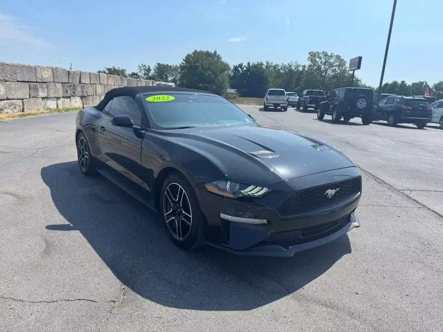 2022 Ford Mustang EcoBoost photo 1