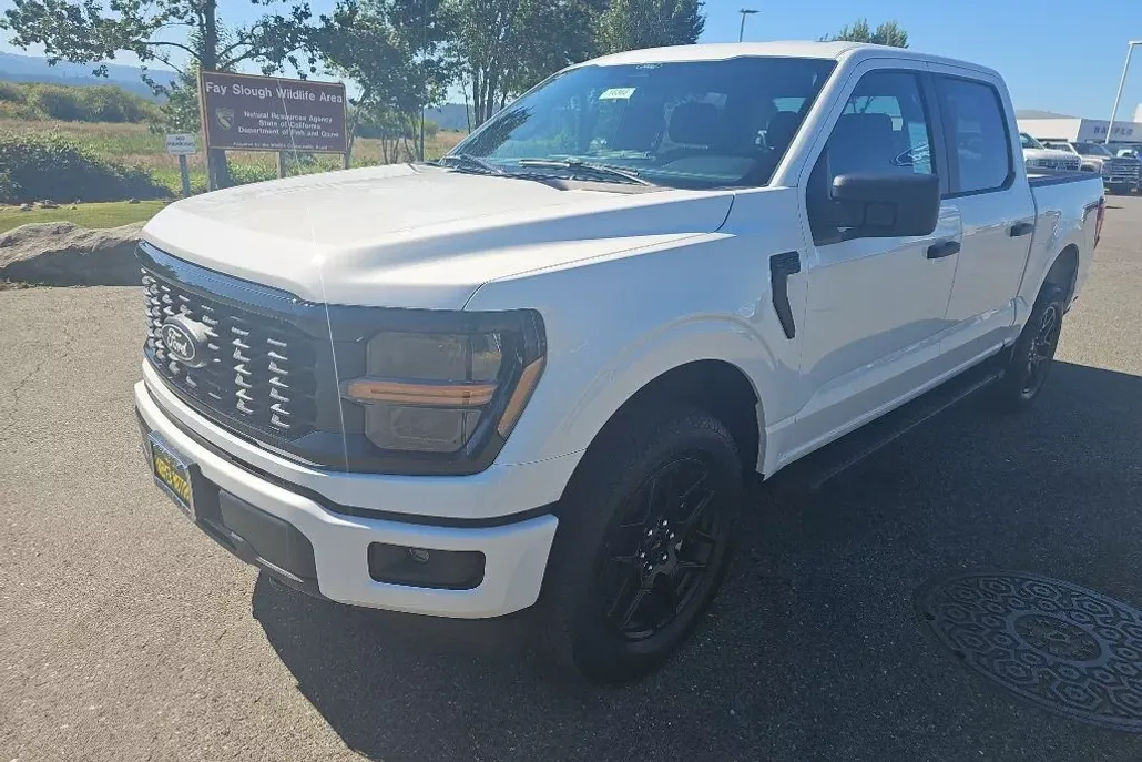 2025 Ford F-150 STX photo 1