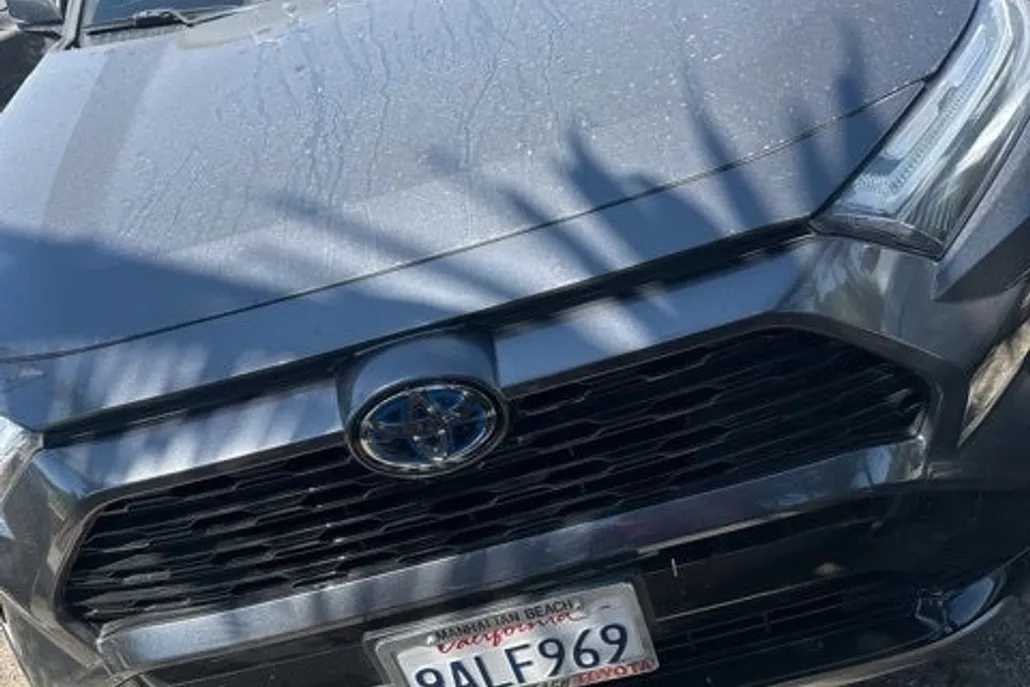 2022 Toyota RAV4 Hybrid SE photo 1