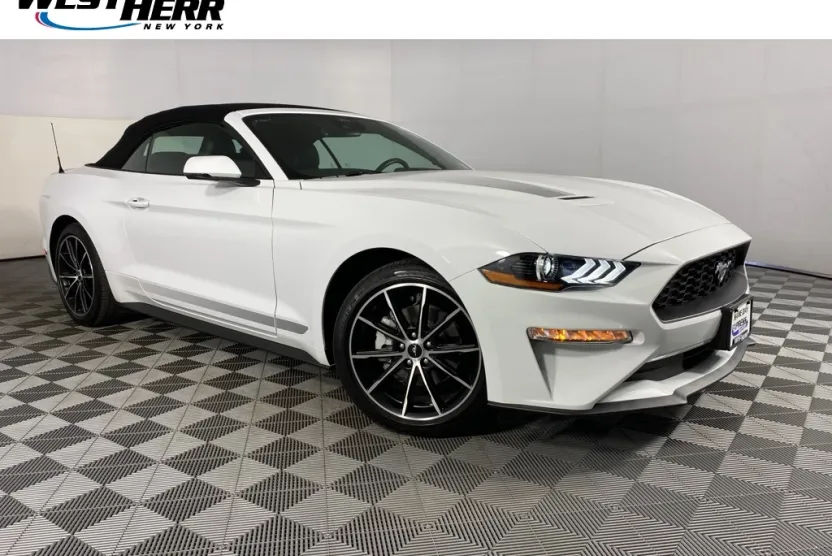 2022 Ford Mustang EcoBoost Premium photo 1