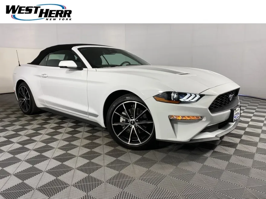 2022 Ford Mustang EcoBoost Premium photo 1