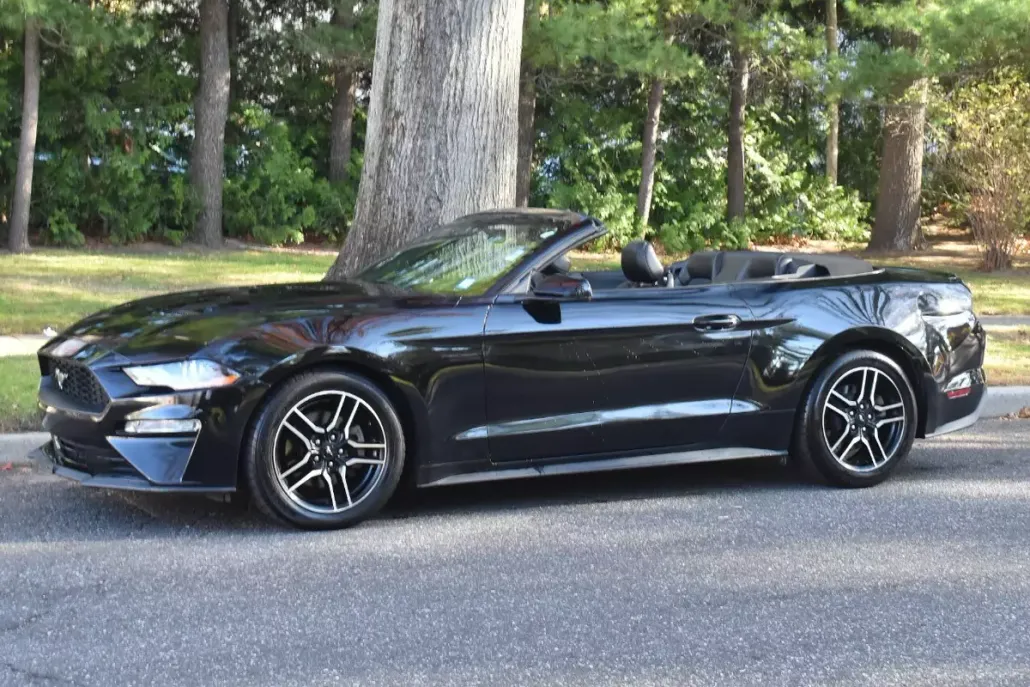 2019 Ford Mustang EcoBoost Premium Convertible photo 1