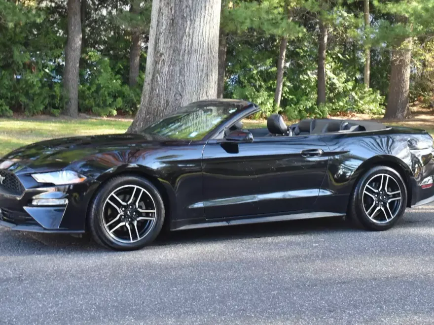 2019 Ford Mustang EcoBoost Premium Convertible photo 1