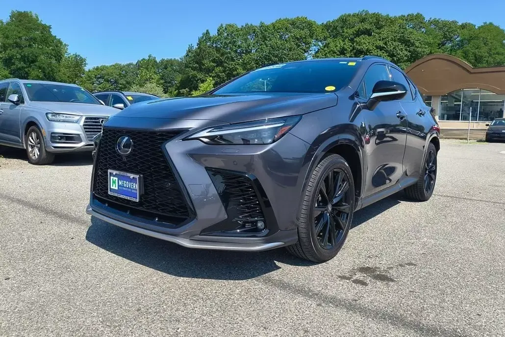 2024 Lexus NX 450h+ F SPORT Handling photo 1