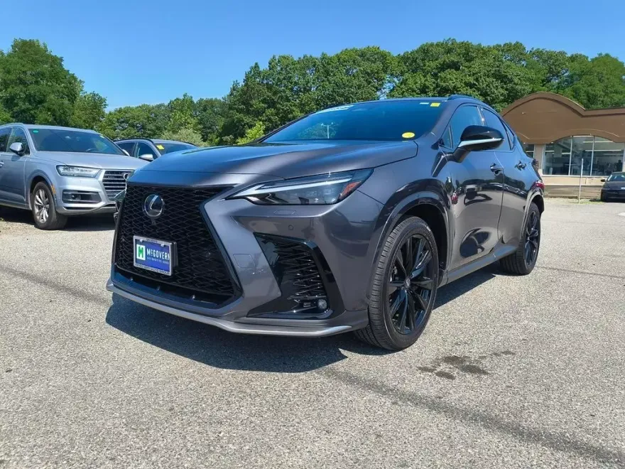 2024 Lexus NX 450h+ F SPORT Handling photo 1