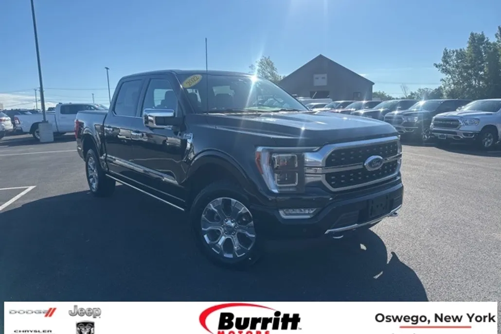 2022 Ford F-150 Platinum photo 1