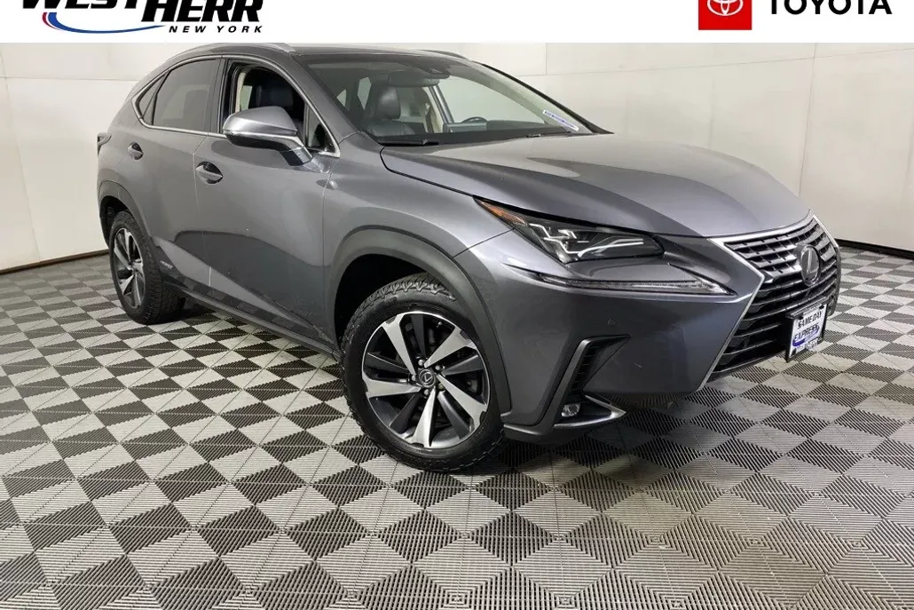 2018 Lexus NX 300h Luxury photo 1