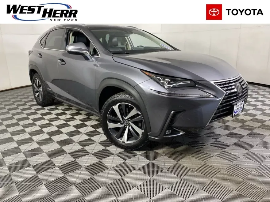 2018 Lexus NX 300h Luxury photo 1