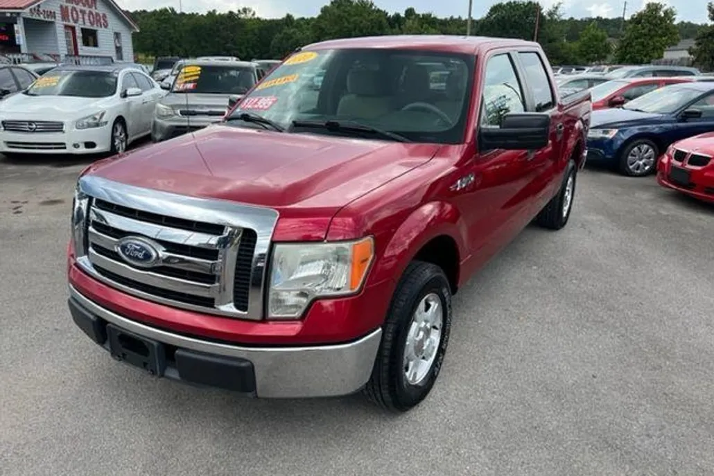 2010 Ford F-150 photo 1