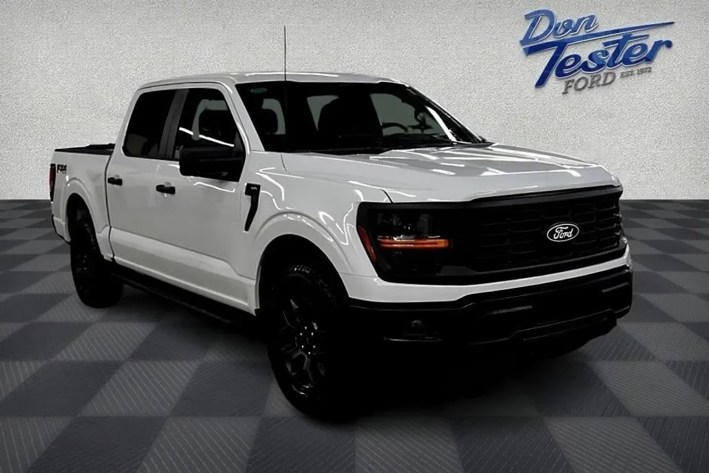 2025 Ford F-150 STX photo 1