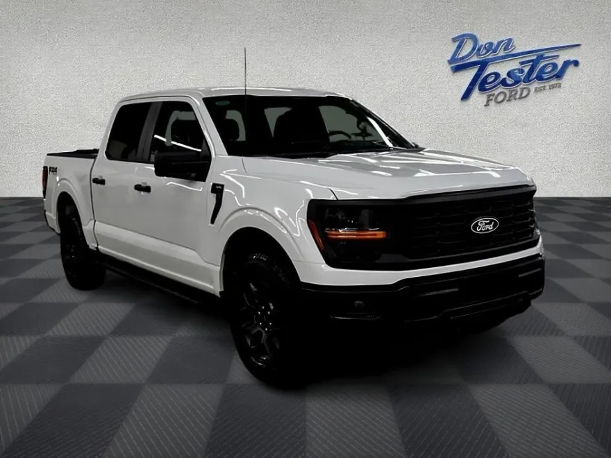 2025 Ford F-150 STX photo 1