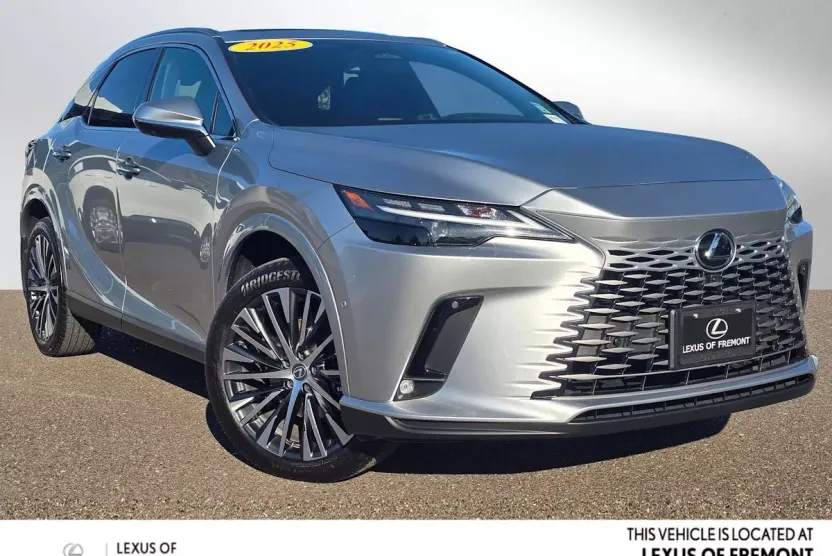 2025 Lexus RX Premium photo 1