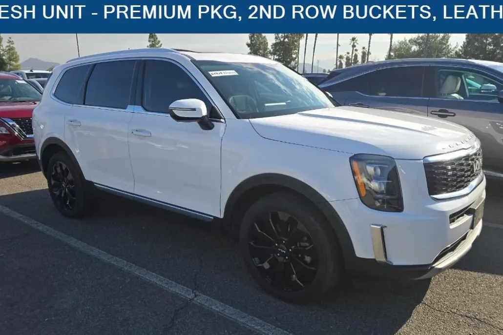 2022 Kia Telluride EX photo 1
