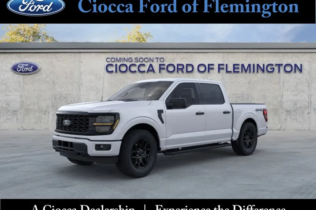 2025 Ford F-150 STX photo 1