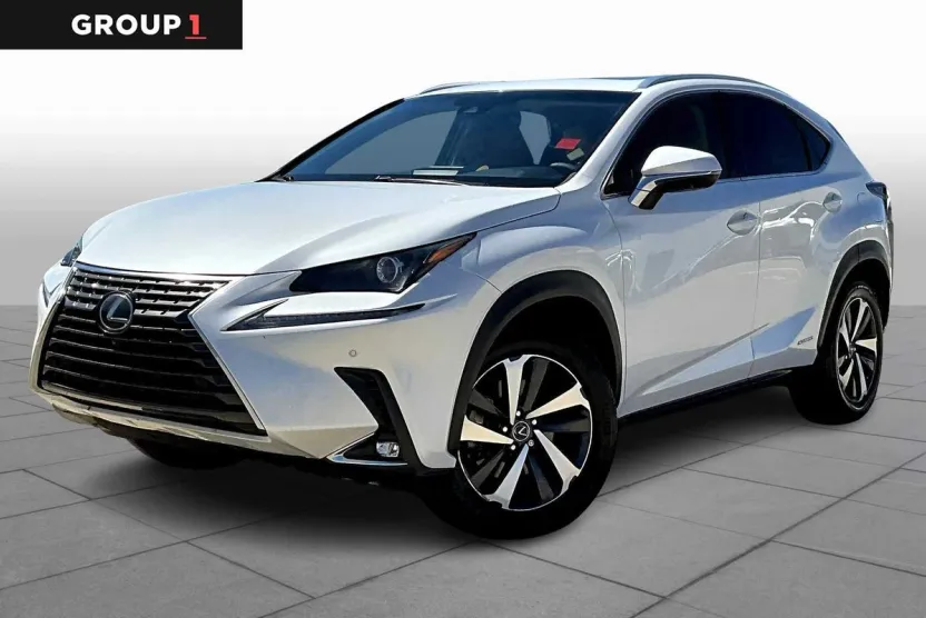 2019 Lexus NX 300h Luxury photo 1