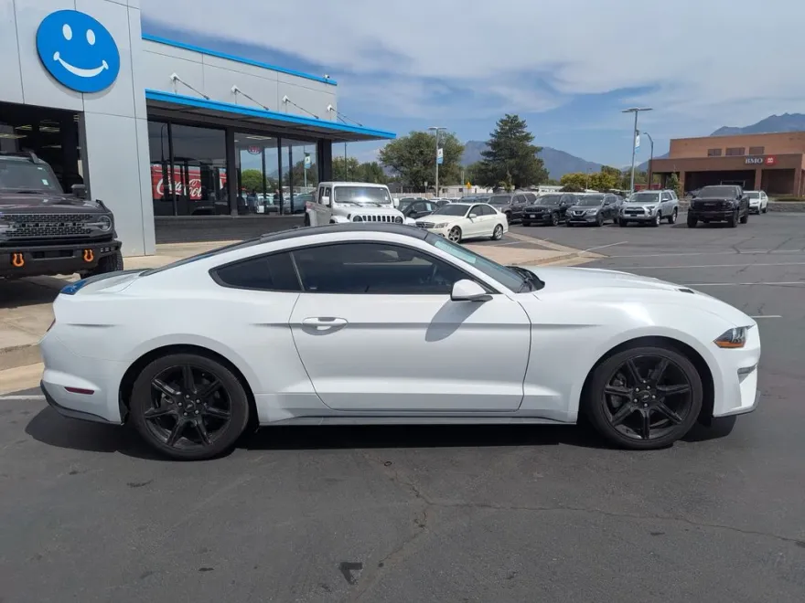2019 Ford Mustang EcoBoost photo 1