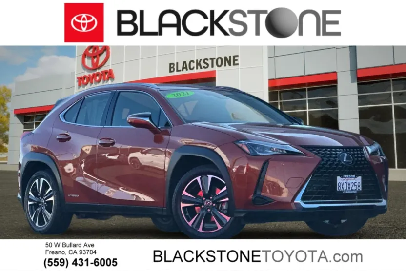 2021 Lexus UX 250h photo 1