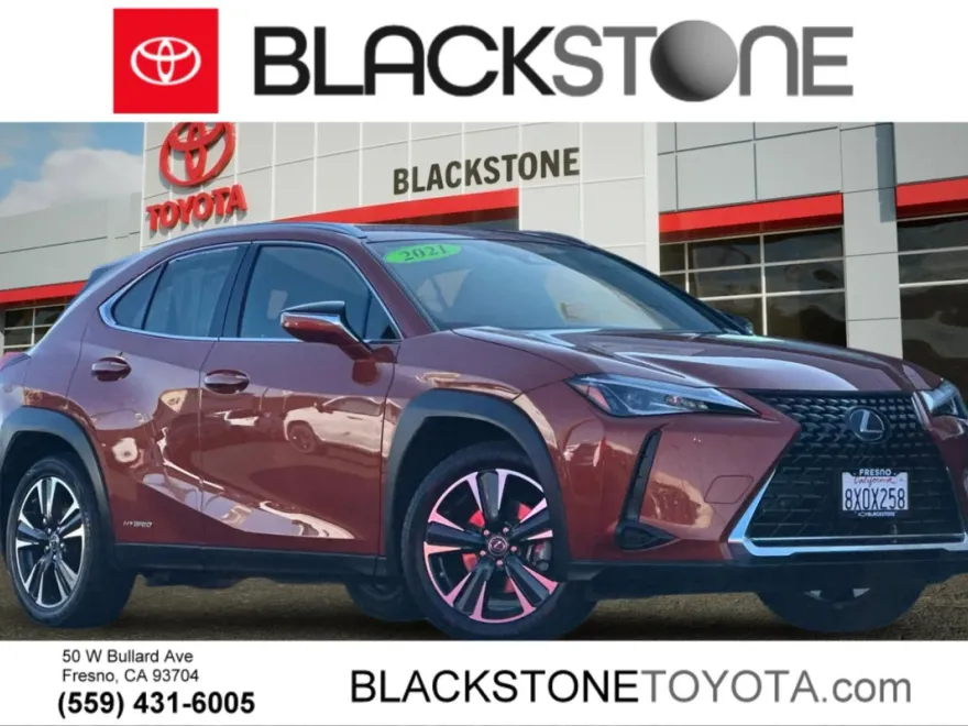 2021 Lexus UX 250h photo 1