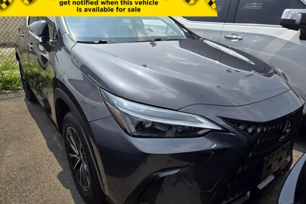 2023 Lexus NX 350 Premium photo 1