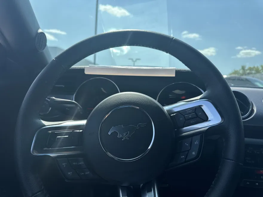 2017 Ford Mustang GT photo 1