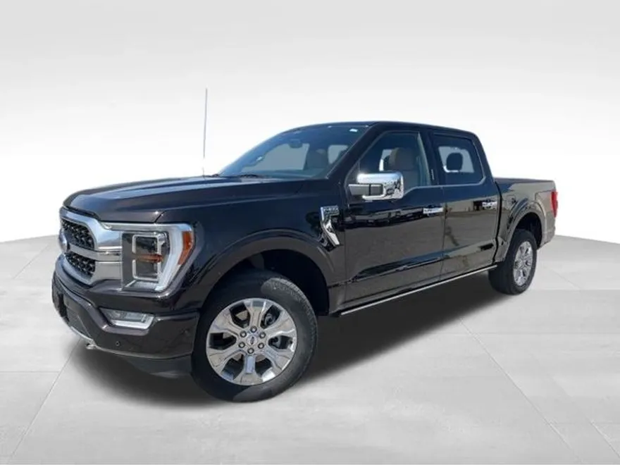 2021 Ford F-150 Platinum photo 1