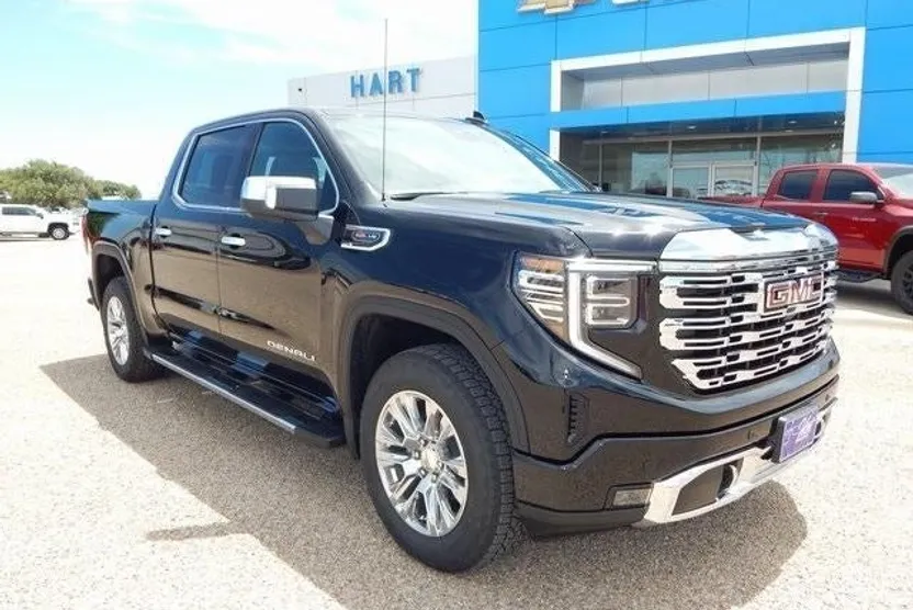 2025 Gmc Sierra 1500 Denali photo 1