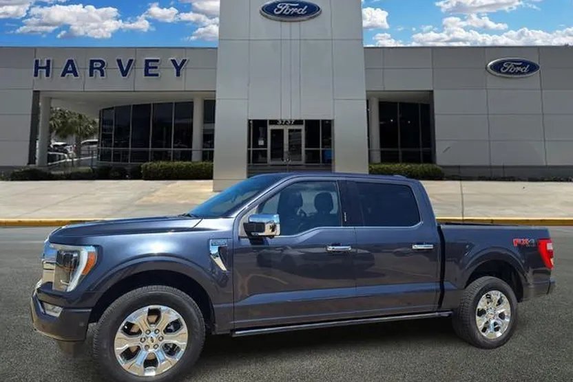 2021 Ford F-150 Platinum photo 1