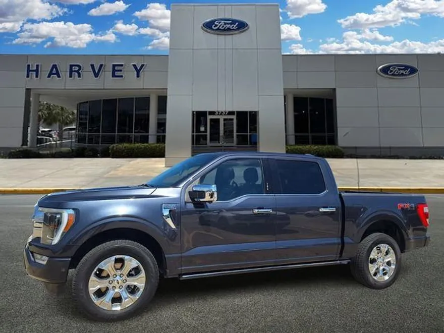 2021 Ford F-150 Platinum photo 1