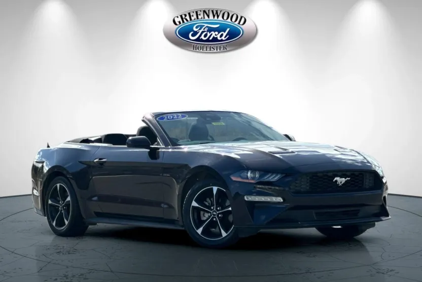 2022 Ford Mustang EcoBoost Convertible photo 1