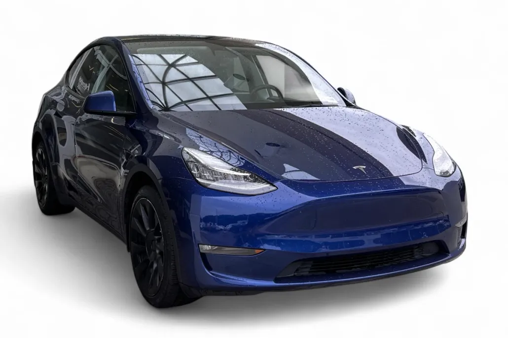 2021 Tesla Model Y photo 1
