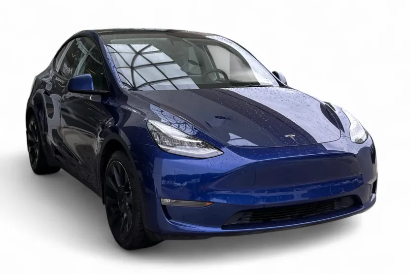 2021 Tesla Model Y photo 1