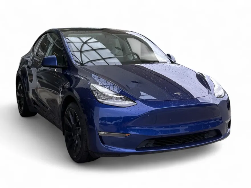2021 Tesla Model Y photo 1